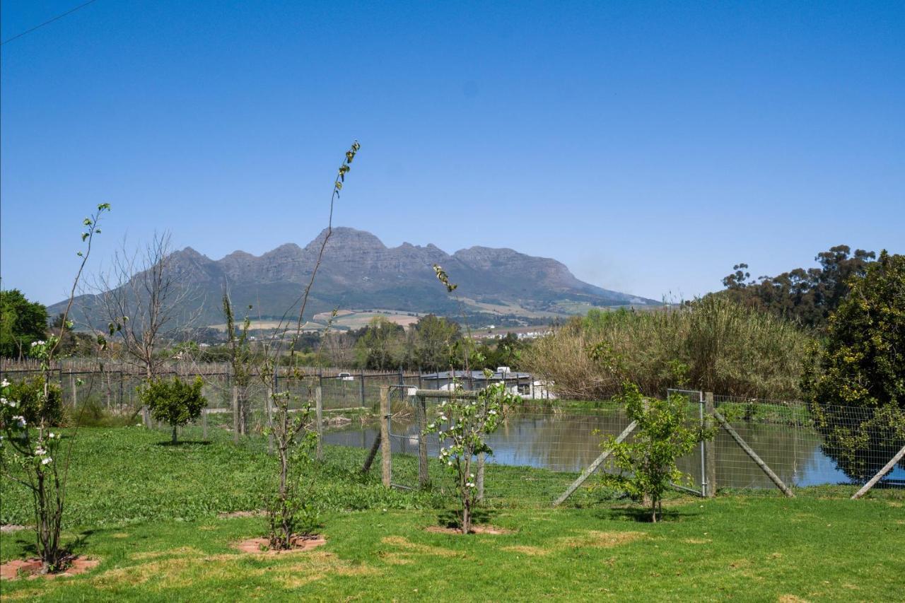 Sunset Farm Stellenbosch Villa Kültér fotó